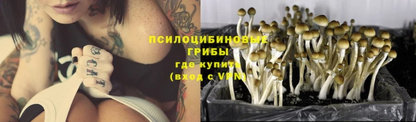 MDMA Premium VHQ Дмитровск